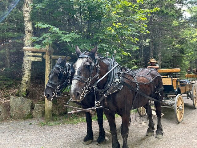 Wildwood Stables-阿卡迪亚国家公园必去景点