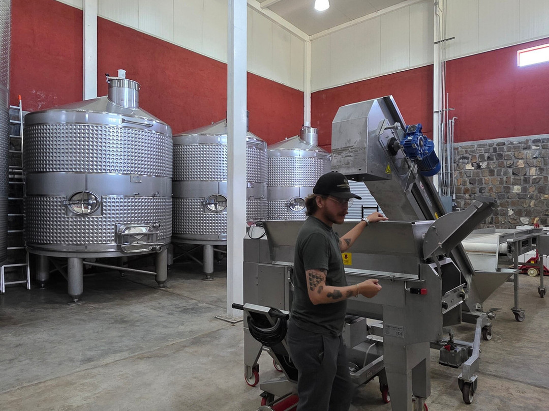 Camino Corazón Casa Vinícola-Parras de la Fuente必去景点