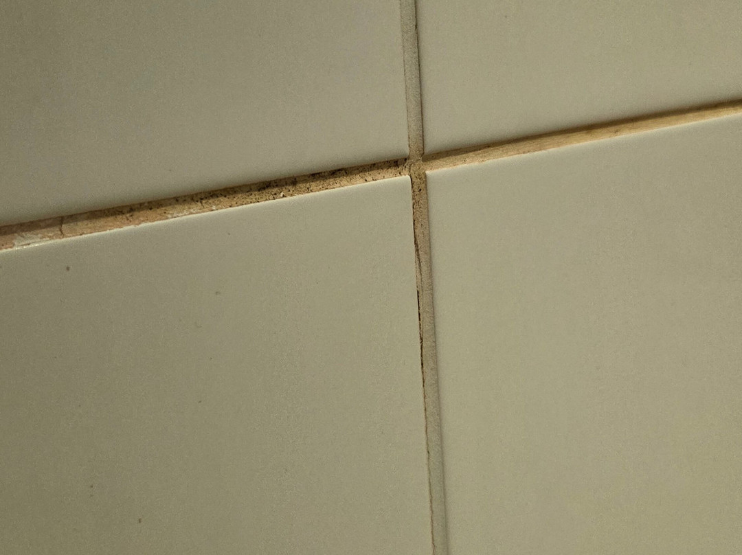 科巴姆戴斯酒店主图