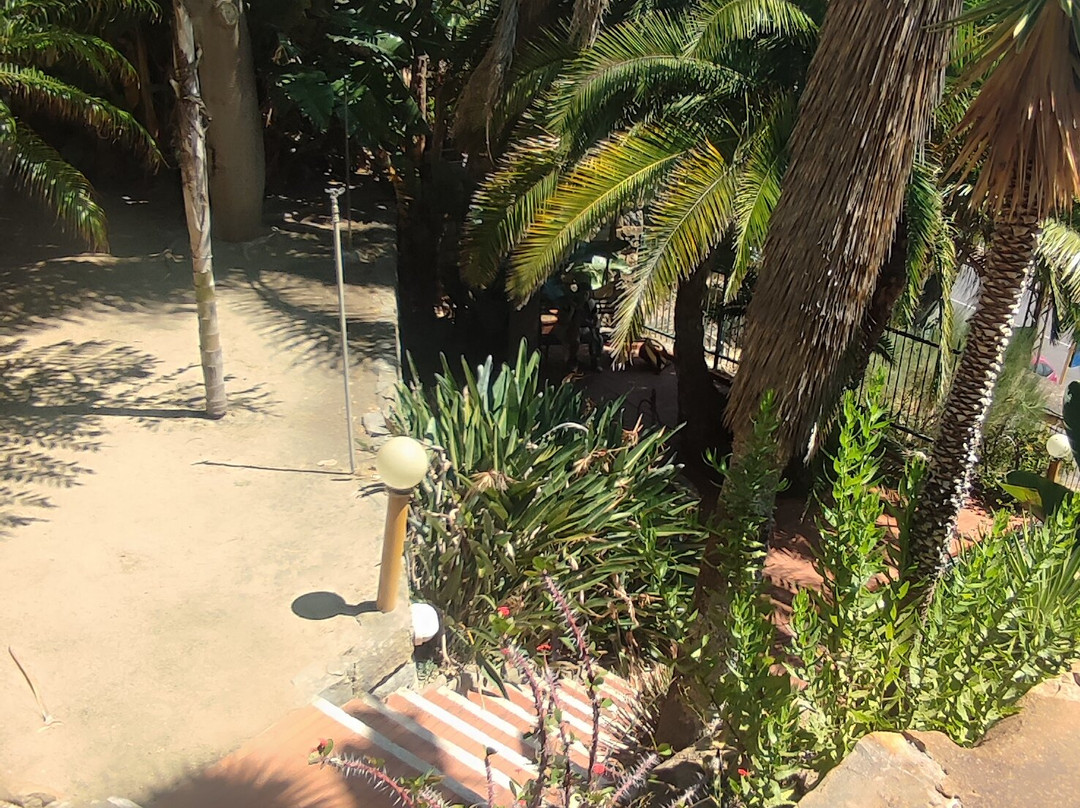 Giardino Esotico Pallanca-博尔迪盖拉必去景点