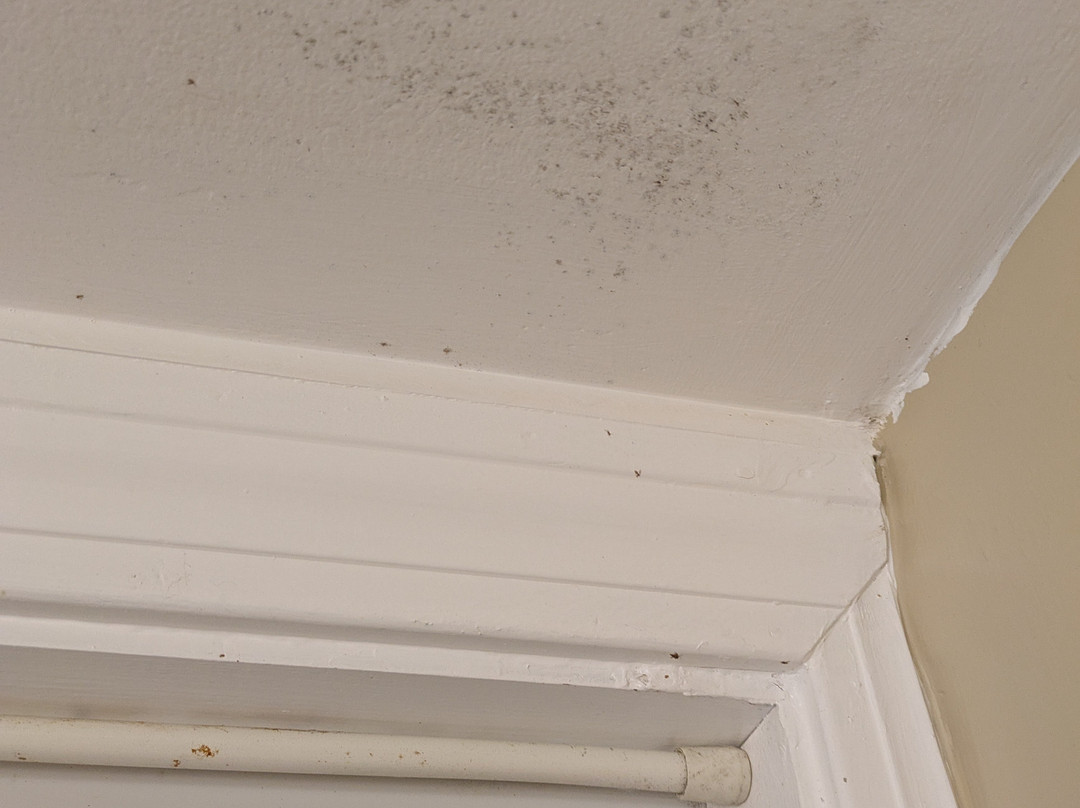 Starlight Lodge Cape Cod主图