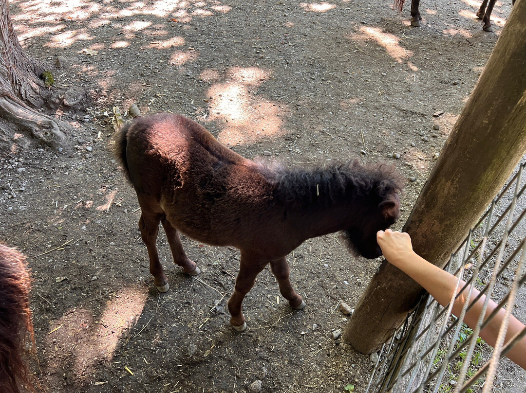 Tierpark Stadt Haag-Haag必去景点