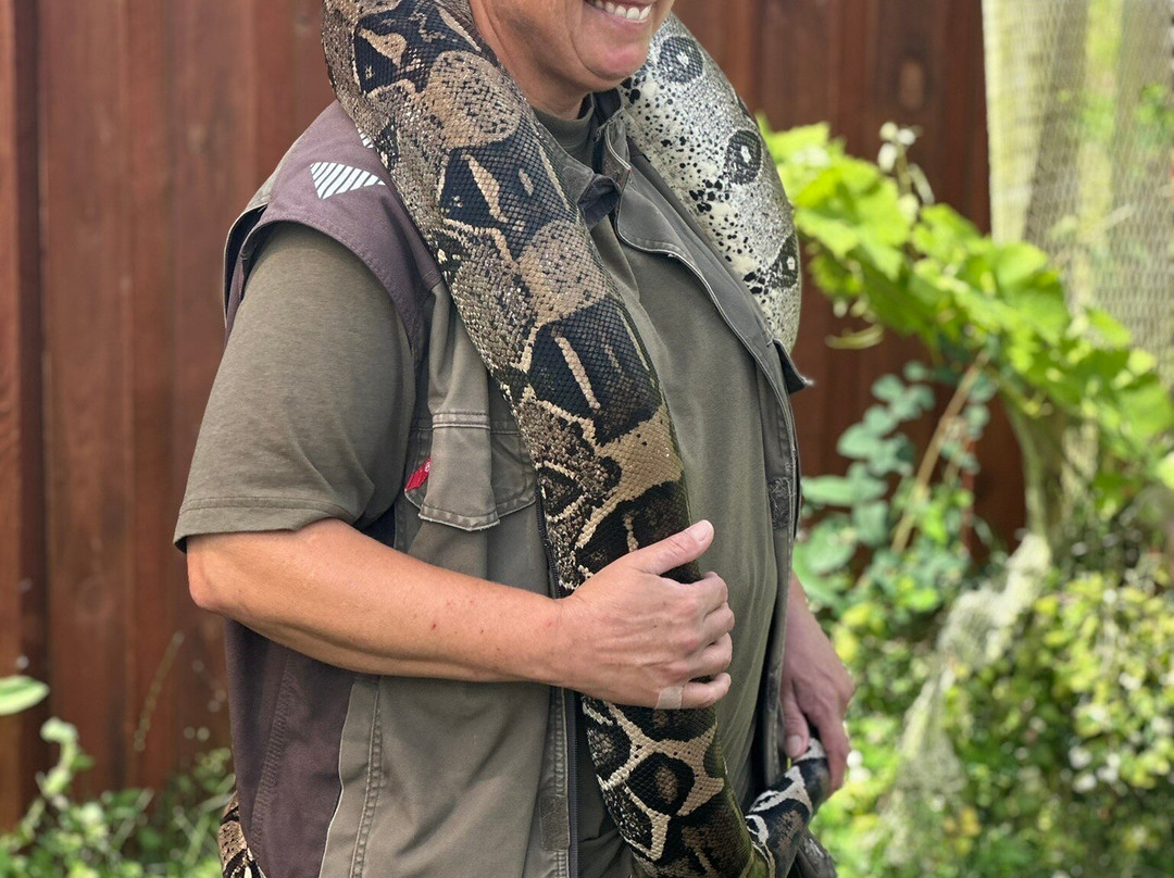 Pangea Park-Bjaeverskov必去景点