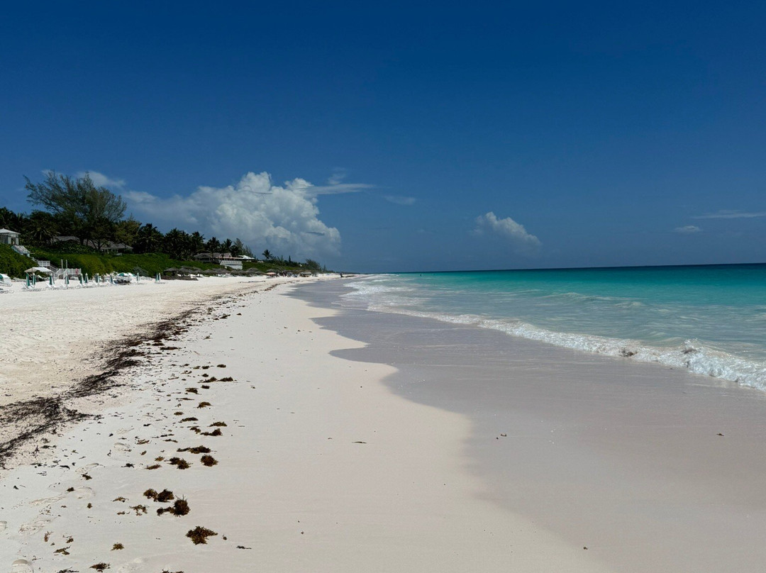 Eleuthera Island Farm-伊柳塞拉必去景点