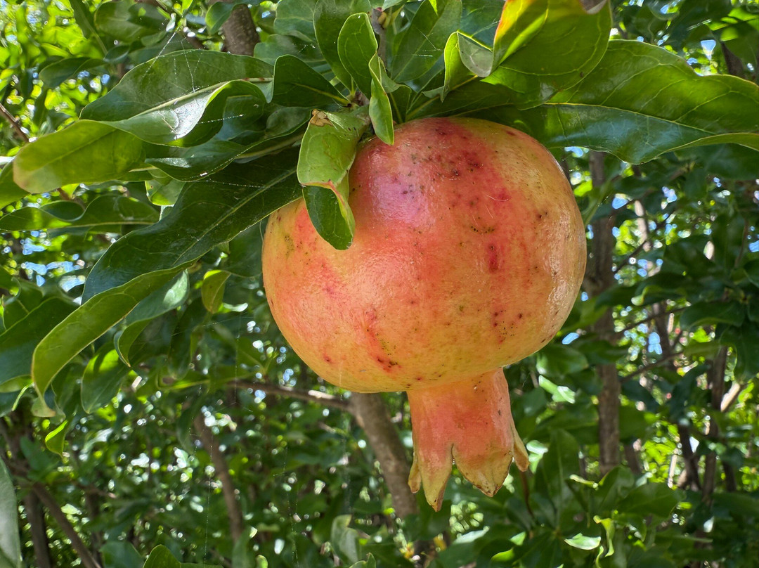 Smith Island-Crisfield必去景点