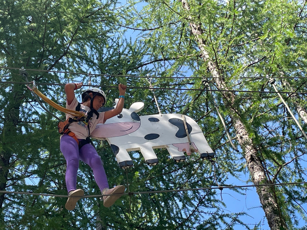 Prali Adventure Park-Prali必去景点