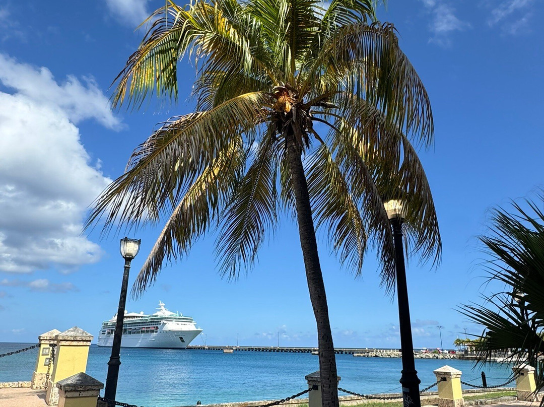 Island Life Adventures-Frederiksted必去景点