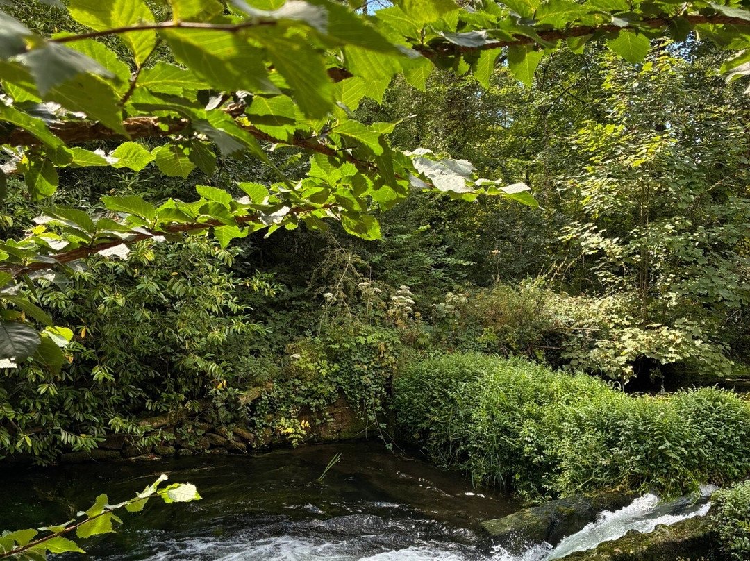 Doneraile Wildlife Park-Doneraile必去景点