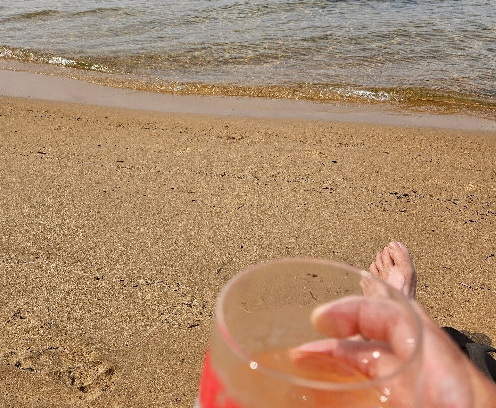 Brimley State Park-Brimley必去景点