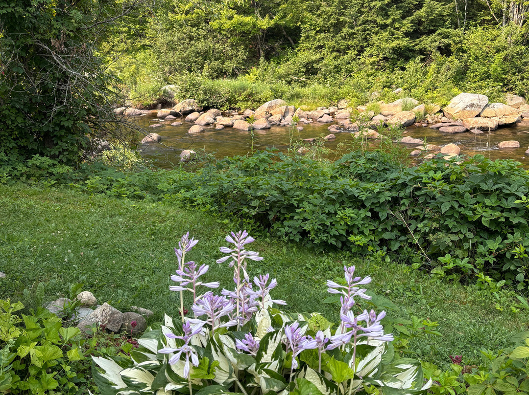 The Wayside Inn主图