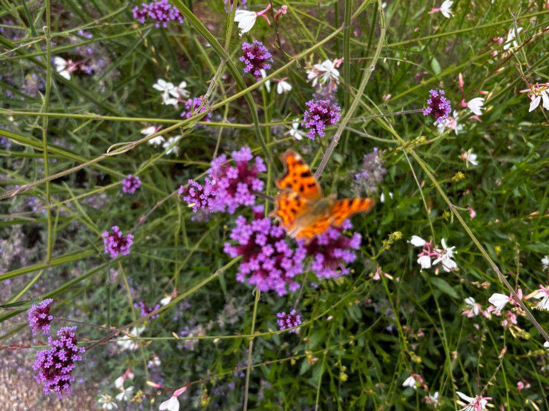 The Old Kent Barn主图