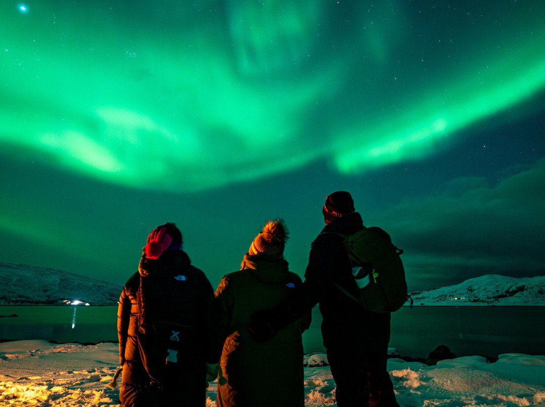 The Arctic Moments-特罗姆瑟必去景点