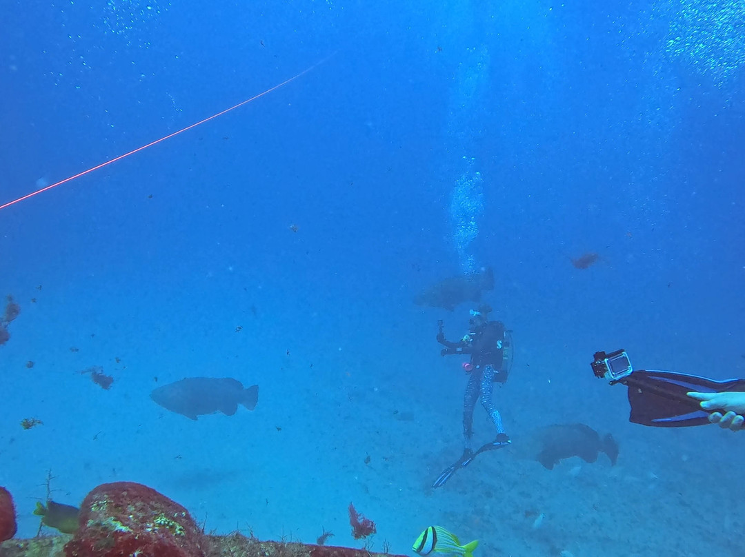 Jupiter Dive Center-朱庇特必去景点