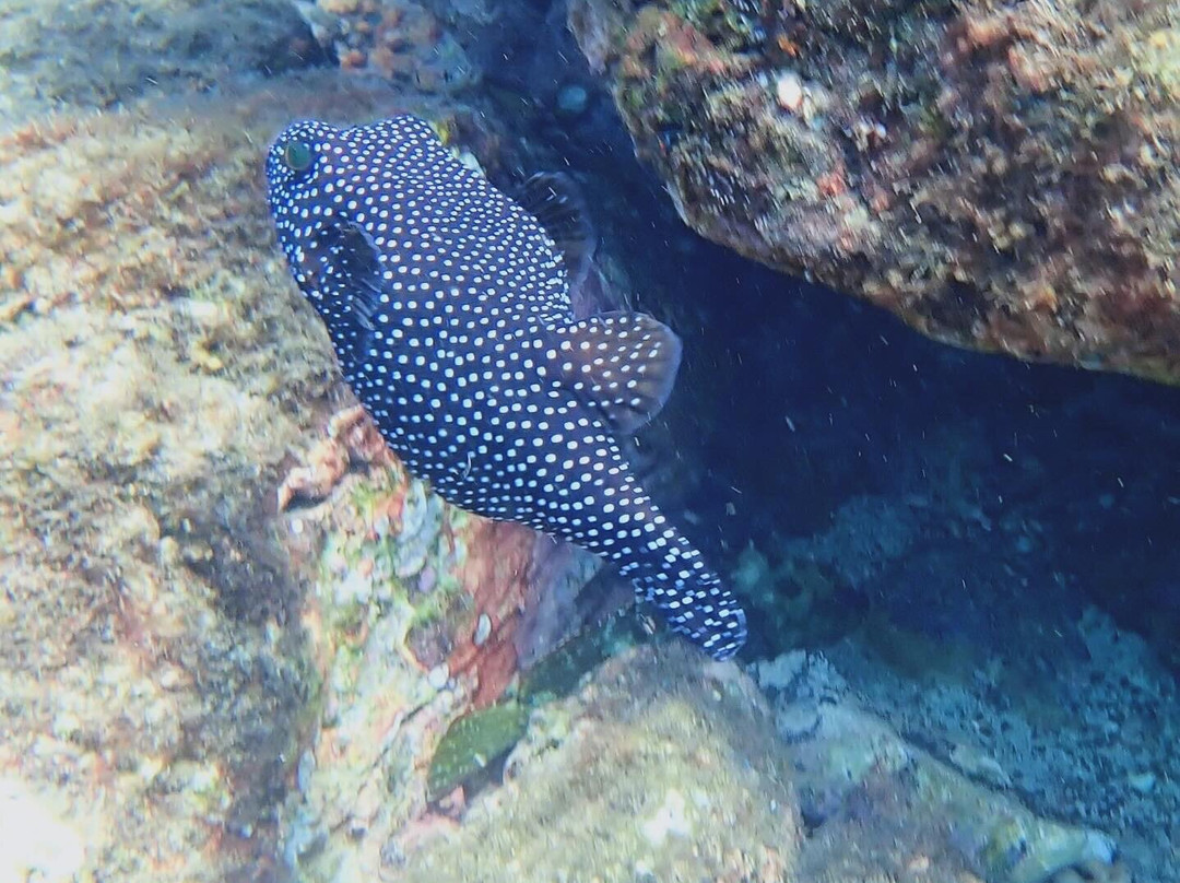 Premier Coiba Tours-Santa Catalina必去景点