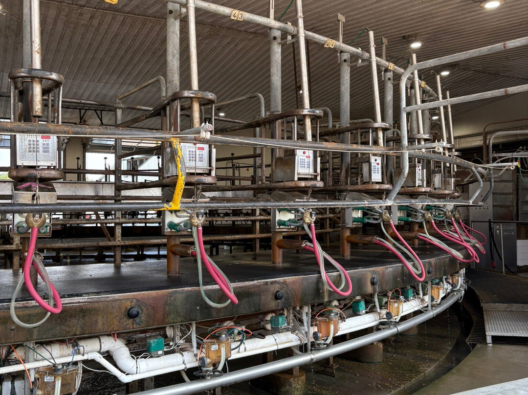 Kreider Farms-Manheim必去景点