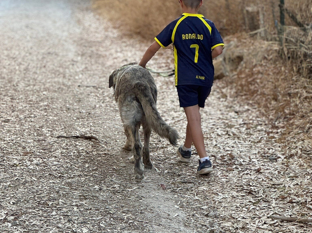 Triple A Marbella Animal Shelter-马贝拉必去景点