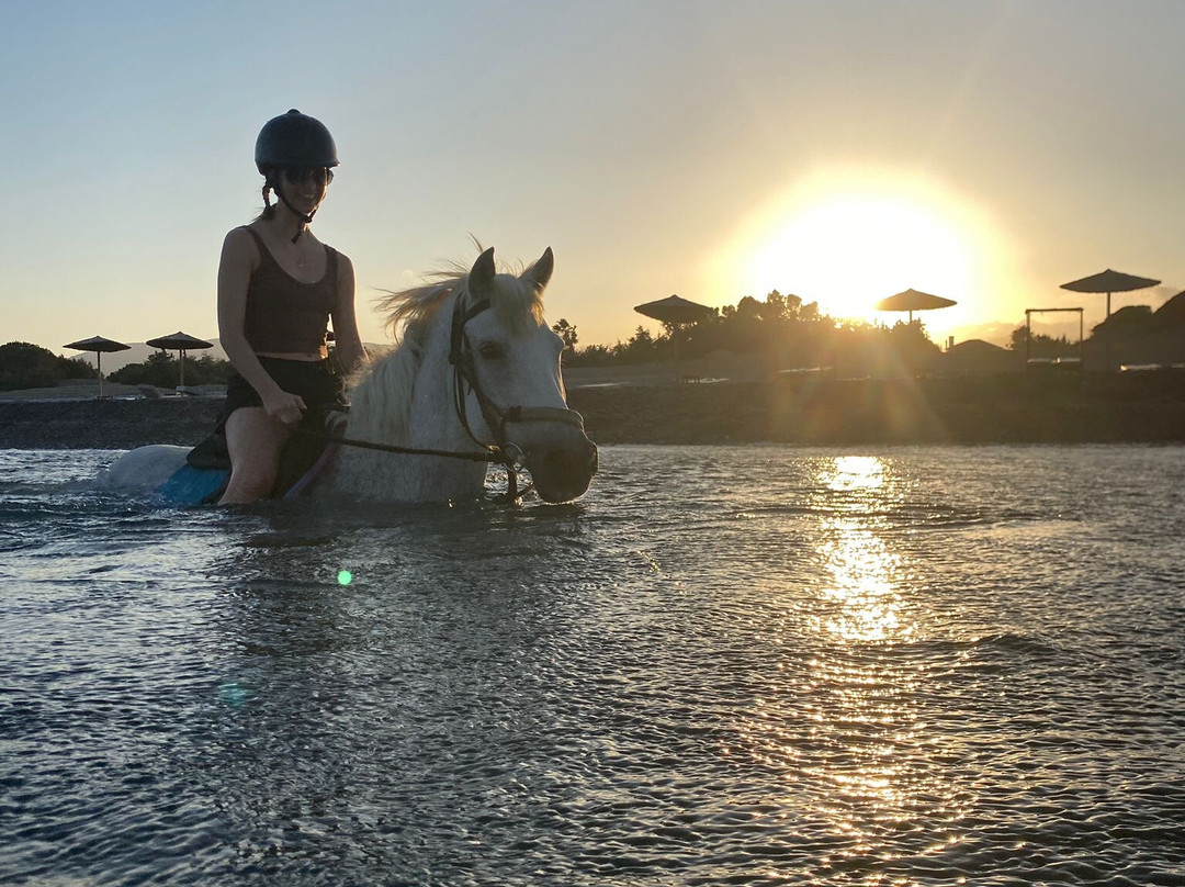 Rocking Horse Ranch-Gennadi必去景点