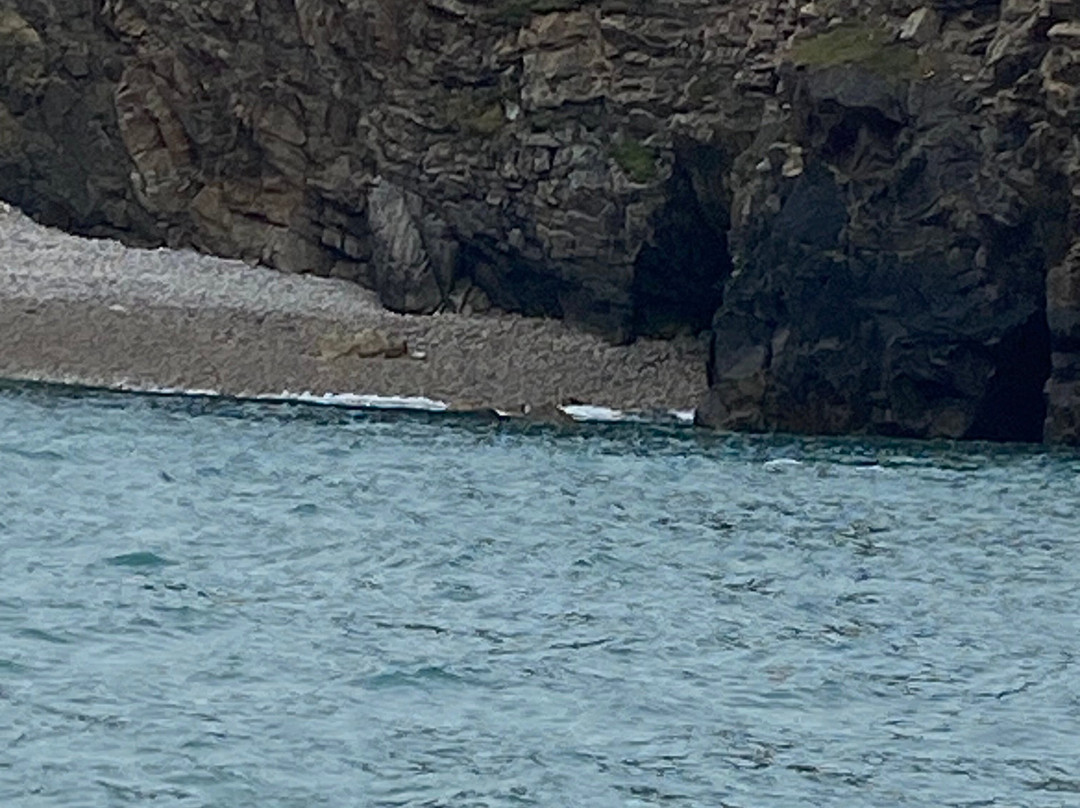 Pembrokeshire Islands Boat Trips-Marloes必去景点