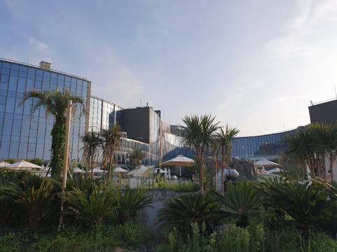 新罗舒泰普拉斯梨湖田屋海滨酒店主图