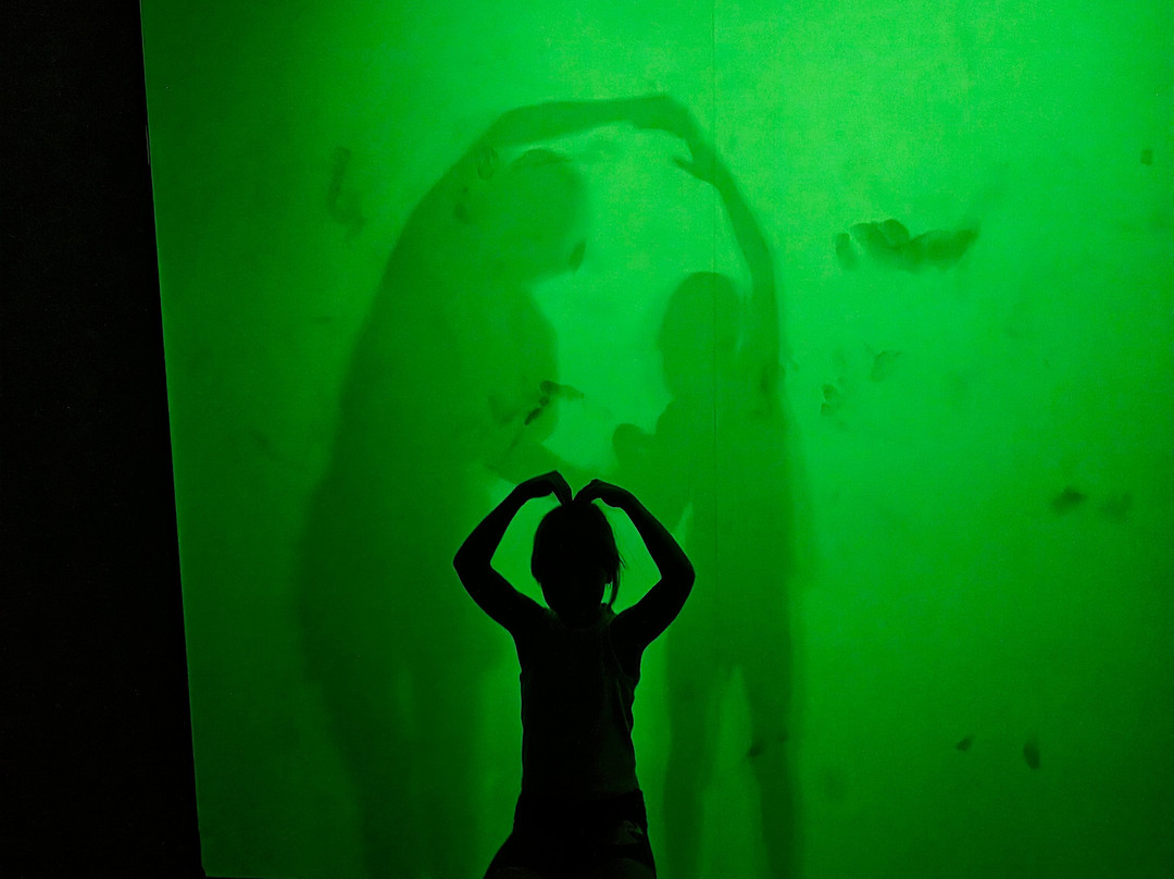 Museum Of Illusions Yerevan-埃里温必去景点