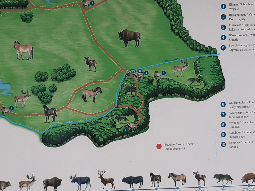 Wildpark Schorfheide-Schorfheide必去景点