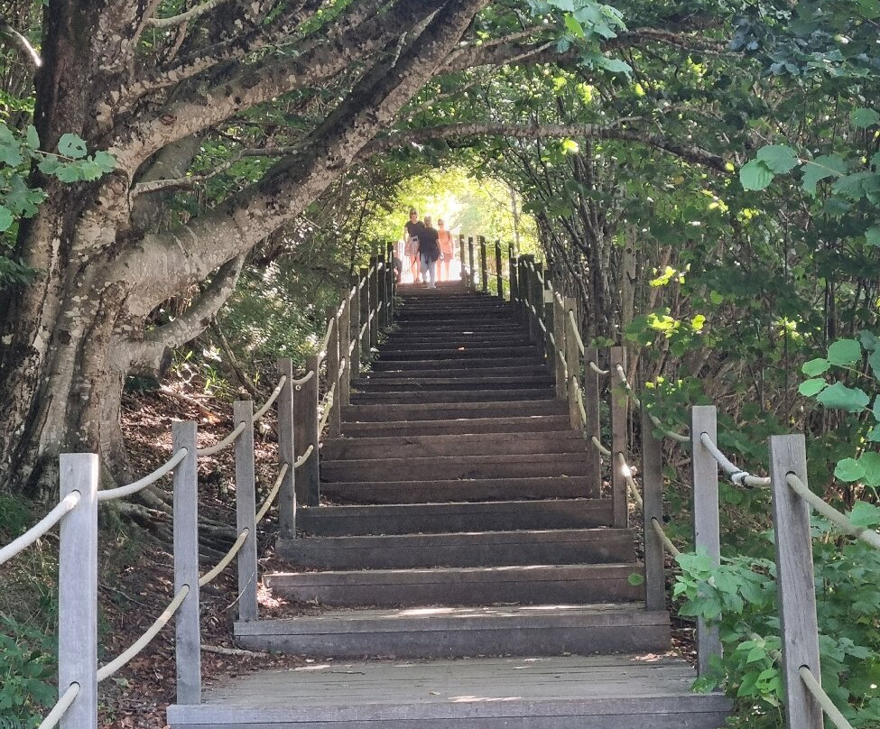 Le Puy du Pariou-Orcines必去景点