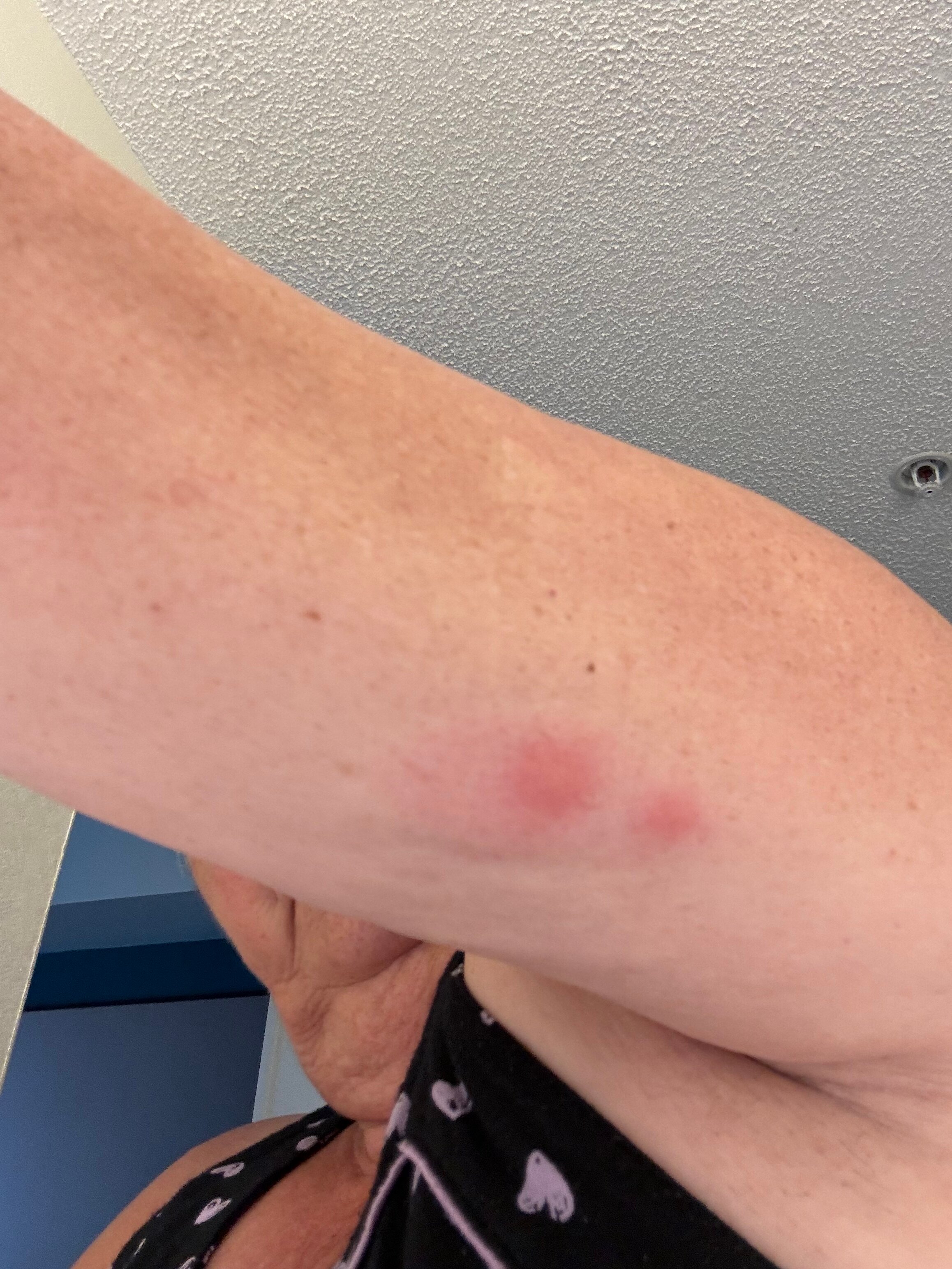 Quality Inn & Conference Centre-客卧