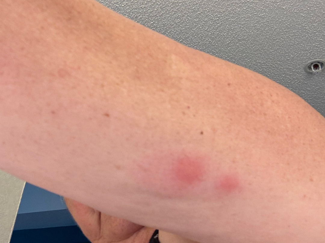 Quality Inn & Conference Centre主图