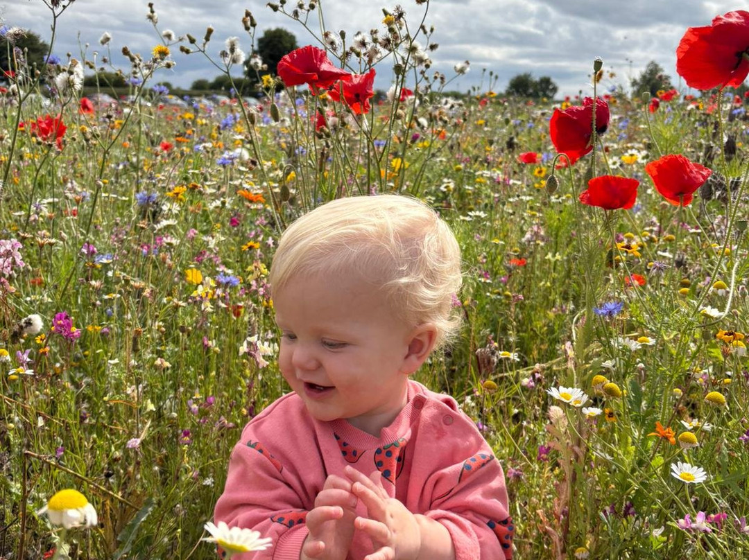 The Flower Belt-赫尔姆斯利必去景点