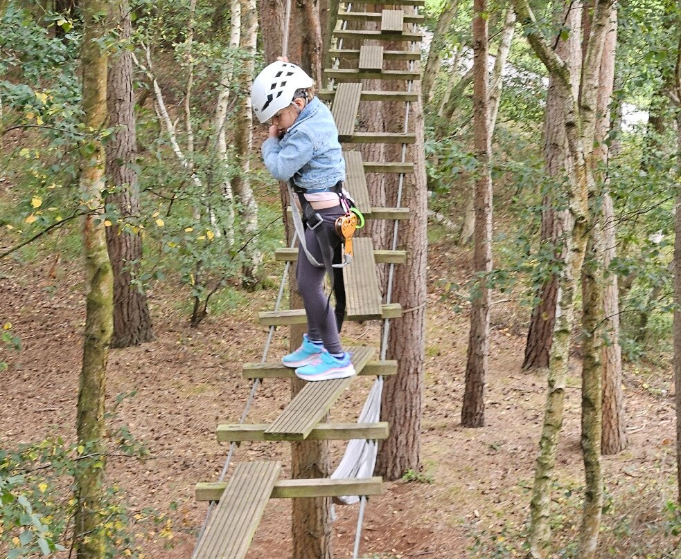 Wild Pines Park-Market Rasen必去景点