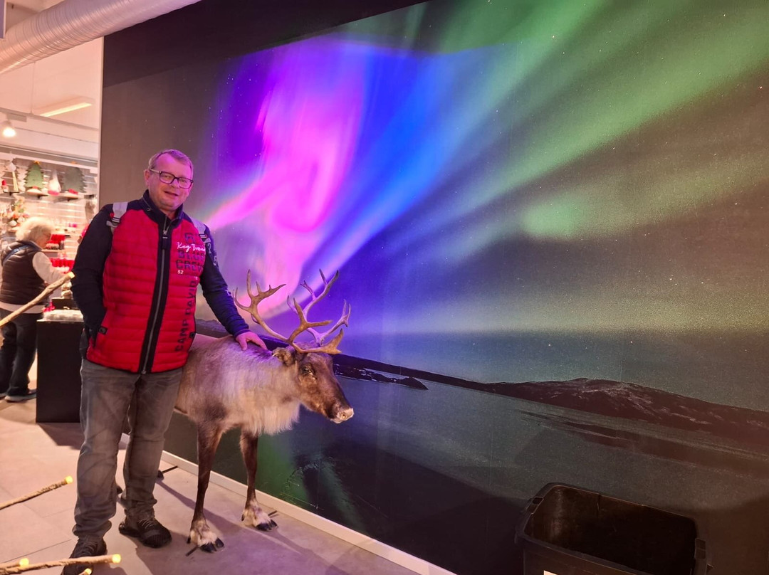 North Cape Tourist Information-霍宁斯沃格必去景点