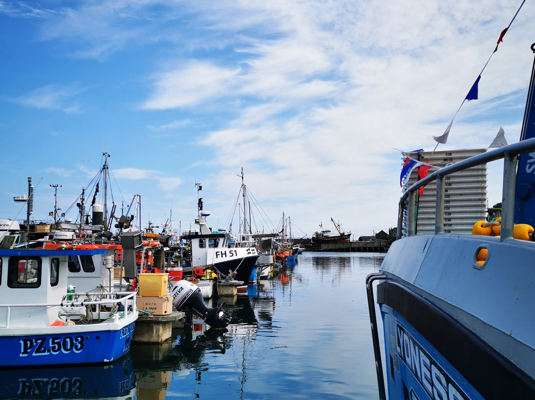Kingfisher Coastal Charters-Newlyn必去景点