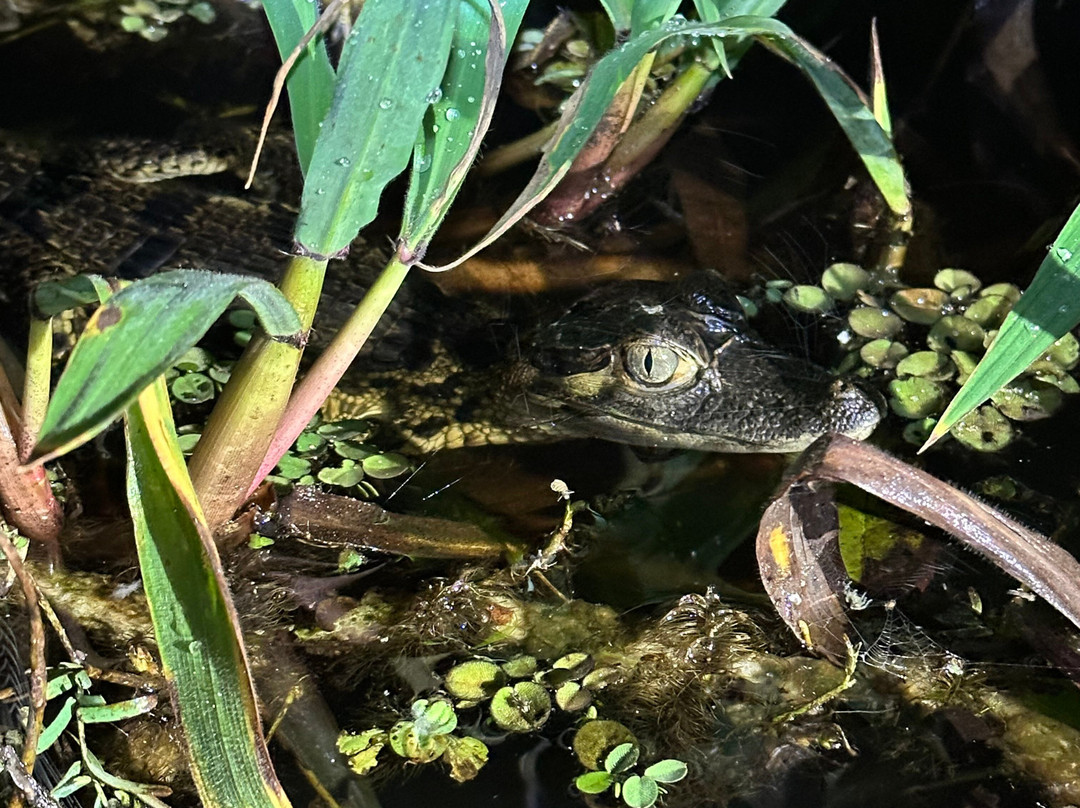 Amazon Fronteras Jungle Tours-莱蒂西亚必去景点