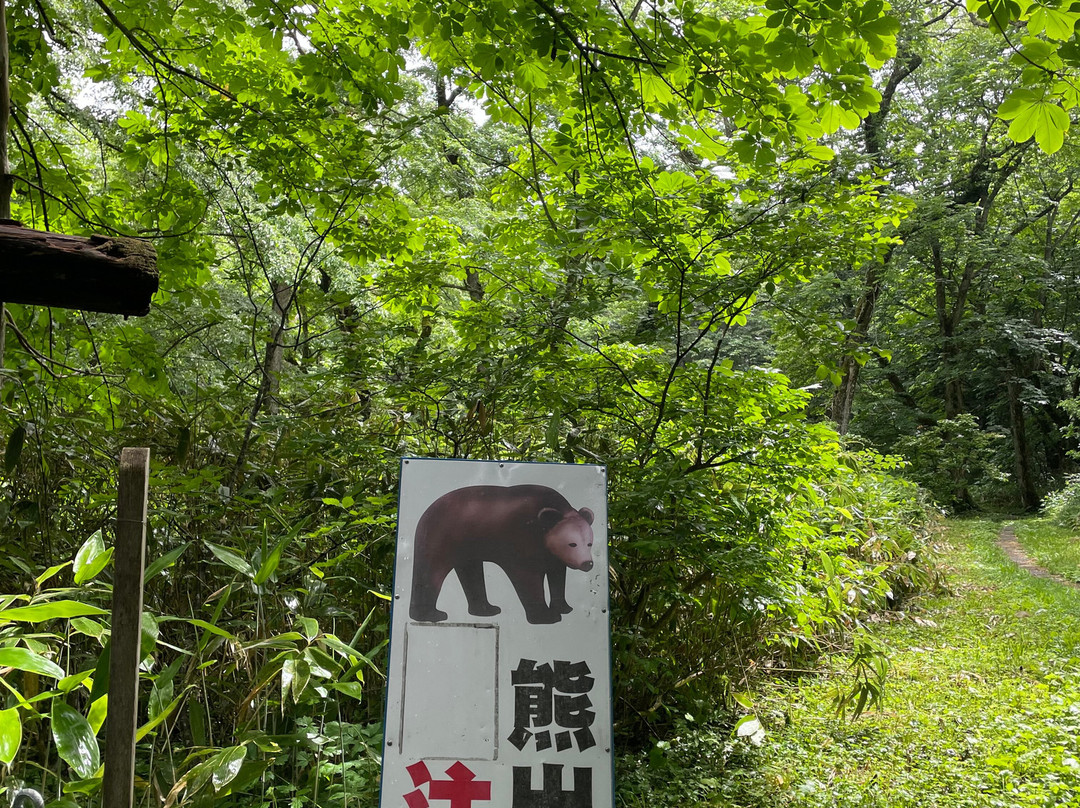 户隐神社-长野县必去景点