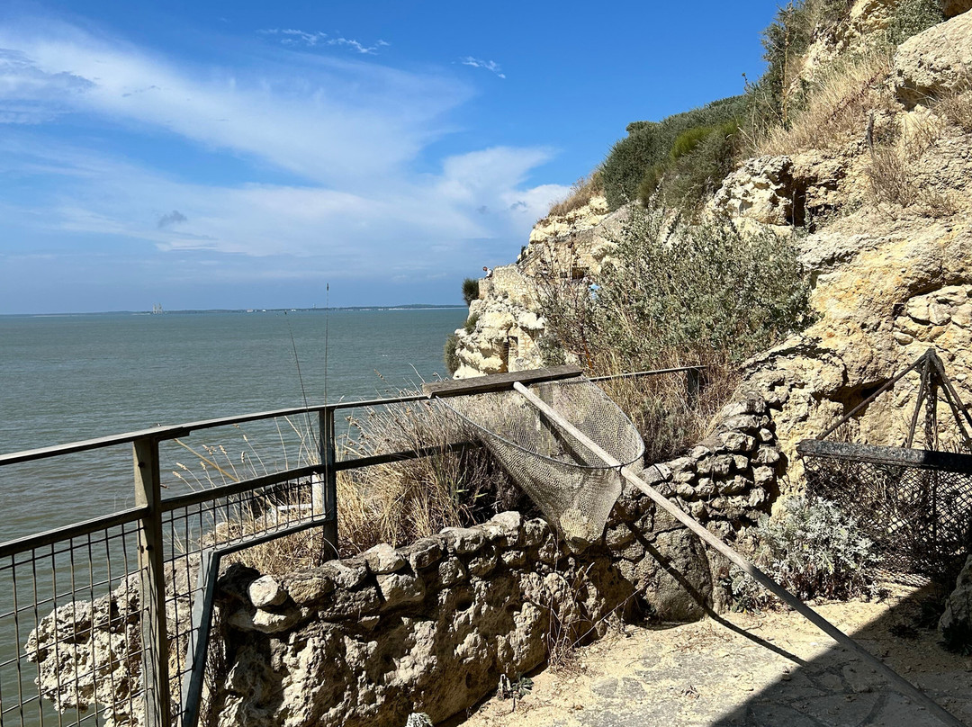 Grottes du Régulus-Meschers-sur-Gironde必去景点