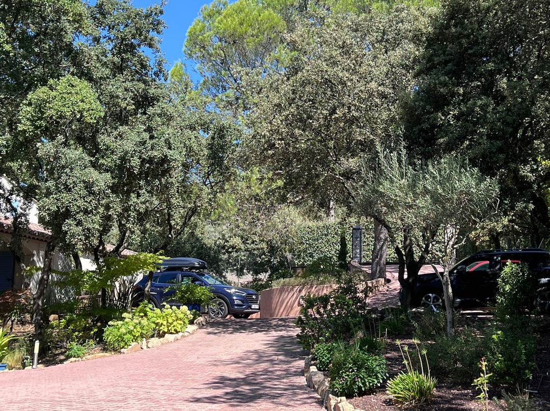 Les Santolines En Provence主图