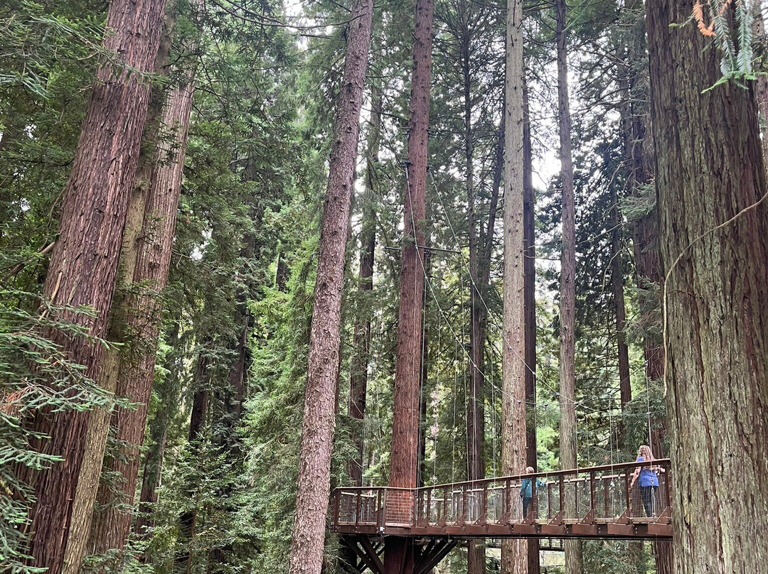 Sequoia Park-尤里卡必去景点