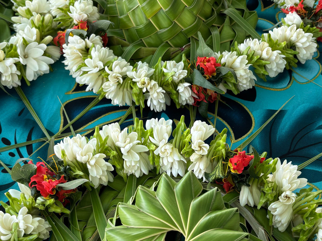 Mataiva Village主图