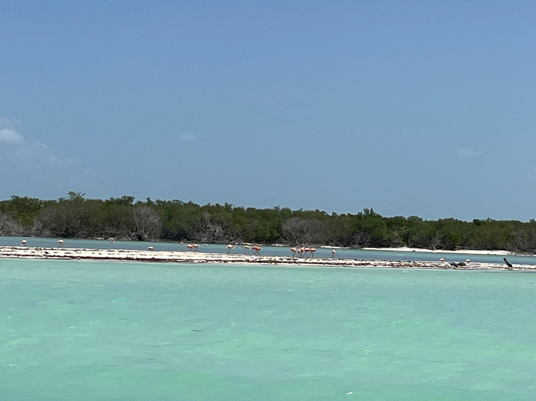Gamaextreme Tours-Holbox必去景点