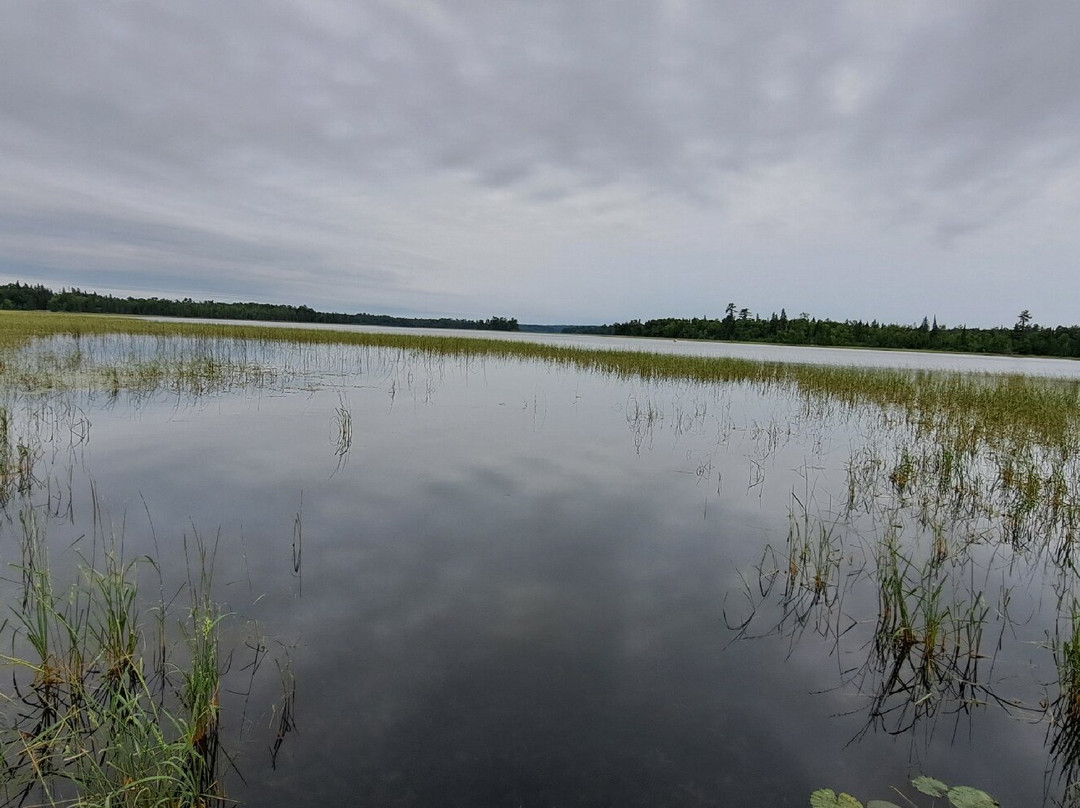 Lake Itasca-Lake Itasca必去景点