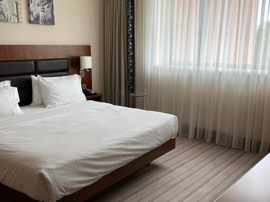 热舒夫希尔顿酒店主图