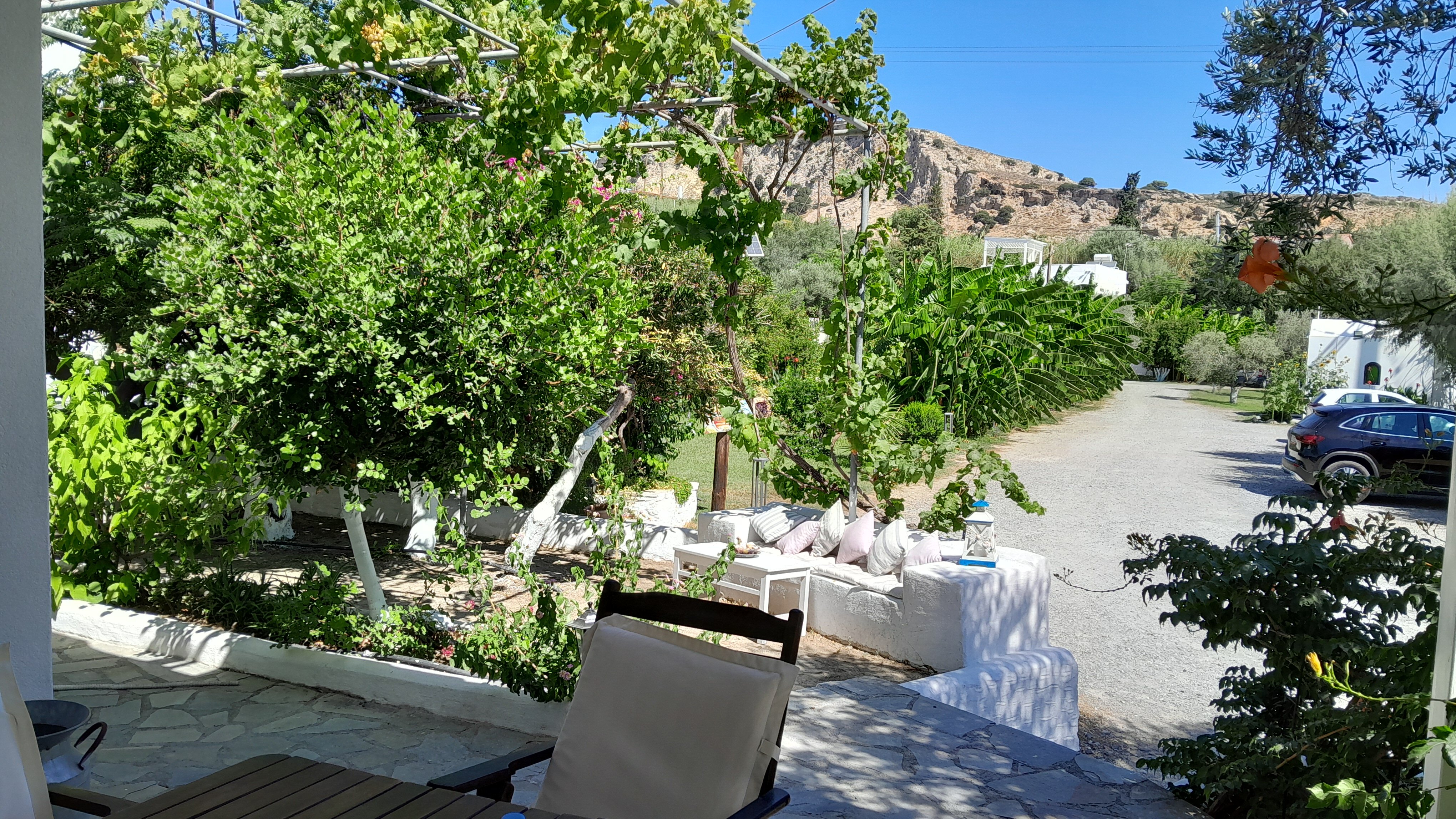 Anastasia's Garden-官方