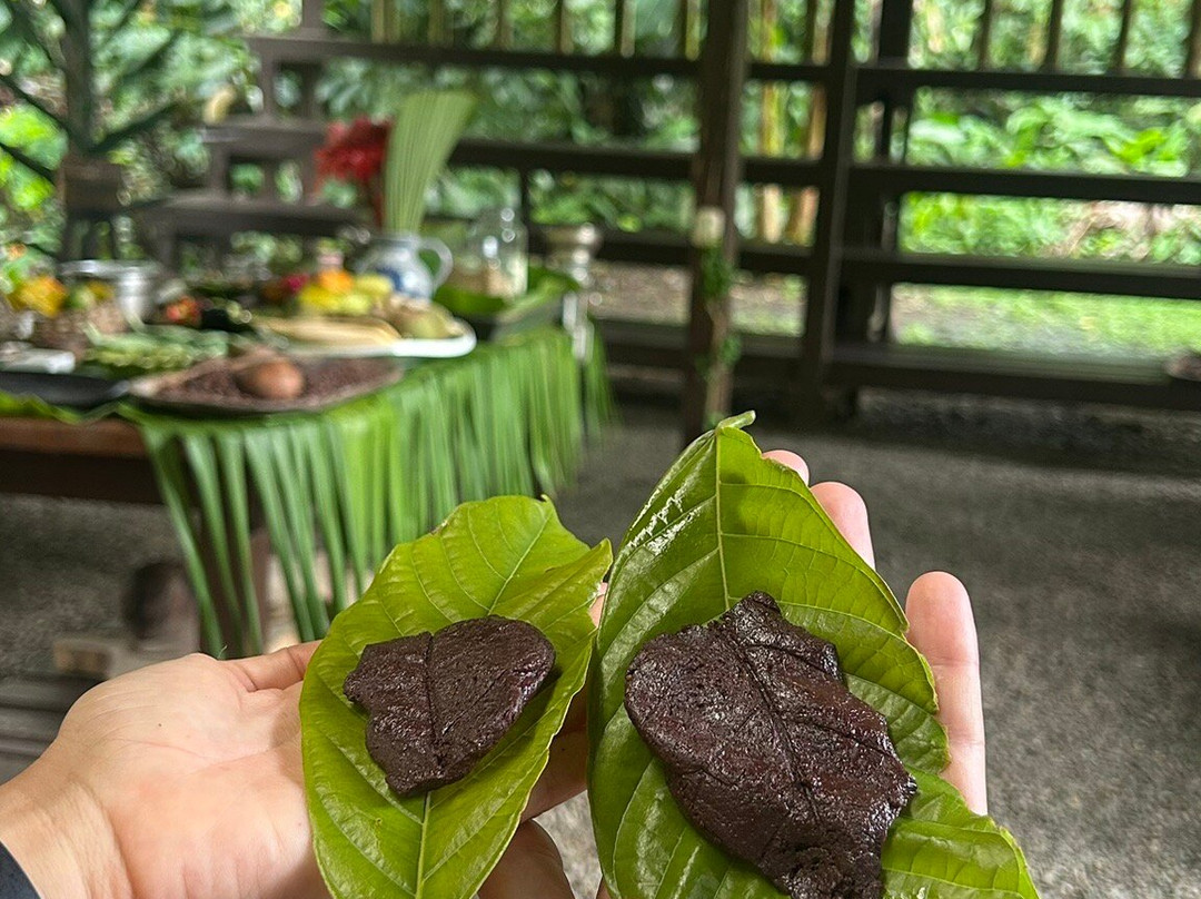 Cacao Trails Culture Tour-Hone Creek必去景点