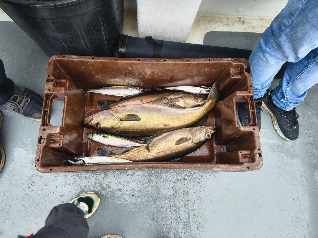 Killybegs Boat Tours-Killybegs必去景点
