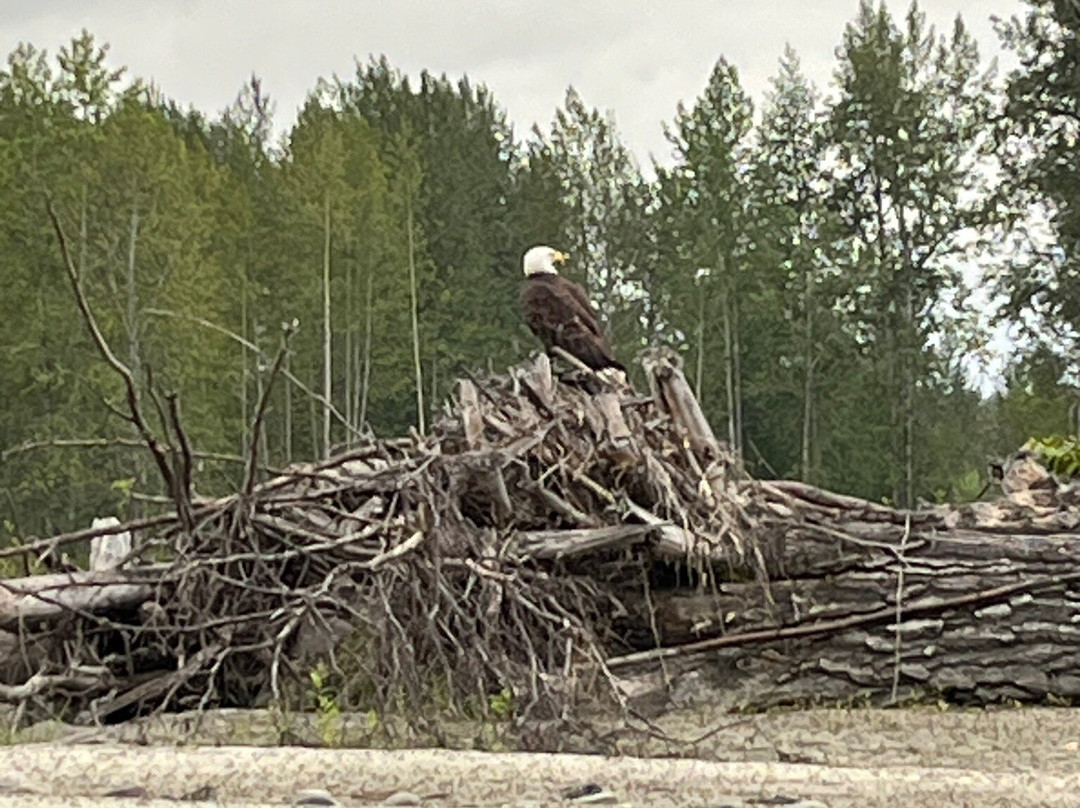 Talkeetna River Guides - Day Trips-塔尔基特纳必去景点