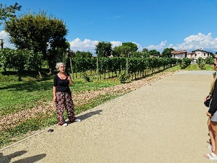 Cascina Maddalena-锡尔苗内必去景点