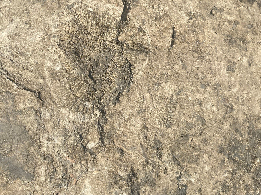 Bachelor's Beach-博奈尔岛必去景点