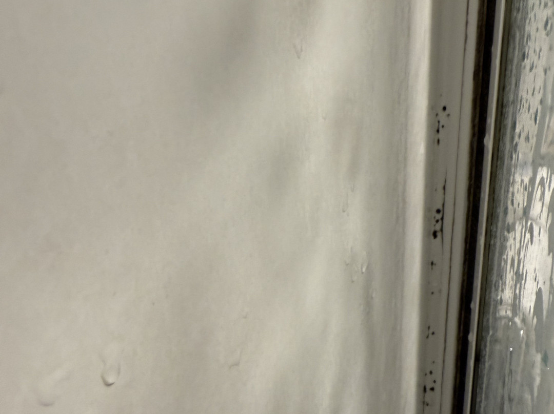 The Bull Hotel主图