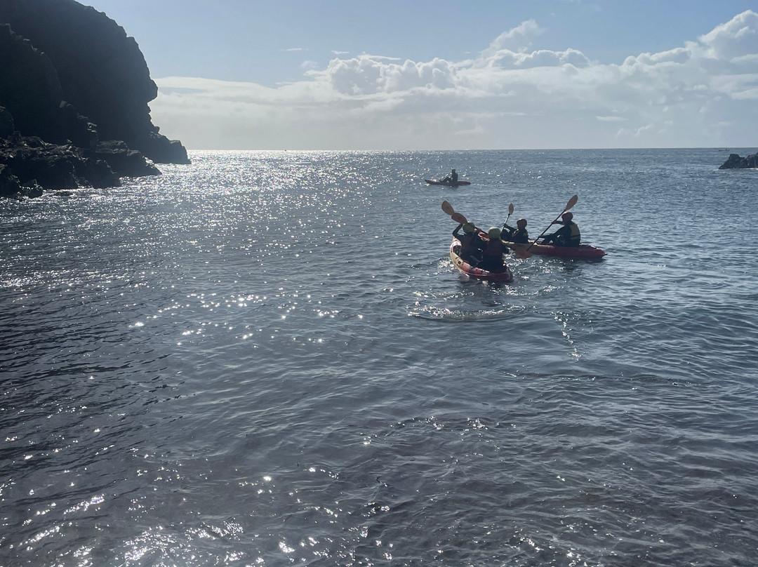 Lizard Adventure-Lizard必去景点