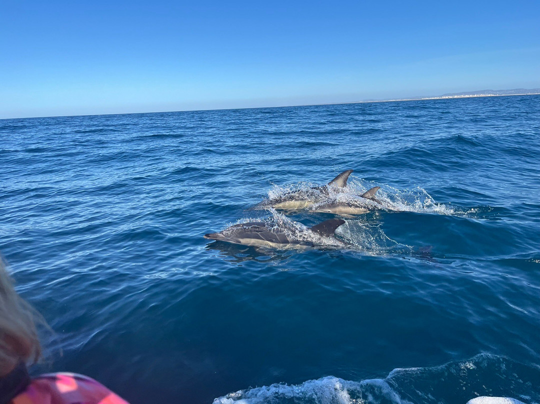 Ecomarine Algarve-法罗必去景点